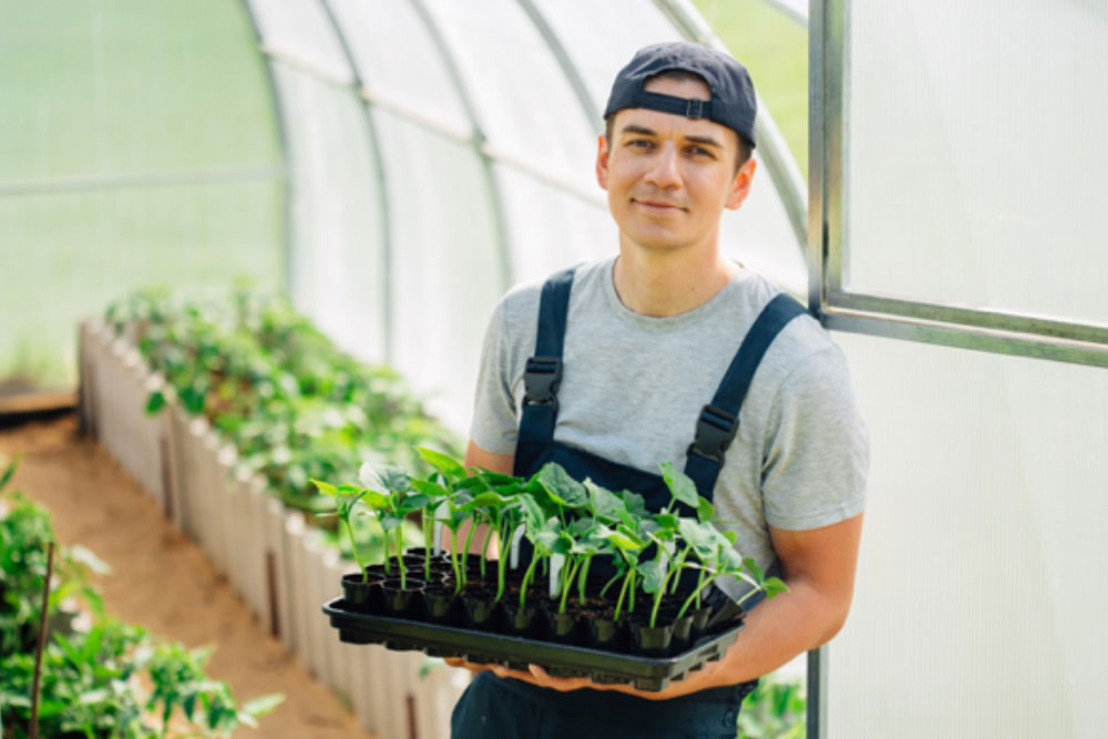 Student in the horticulture industry at ARO College cultivating seedlings