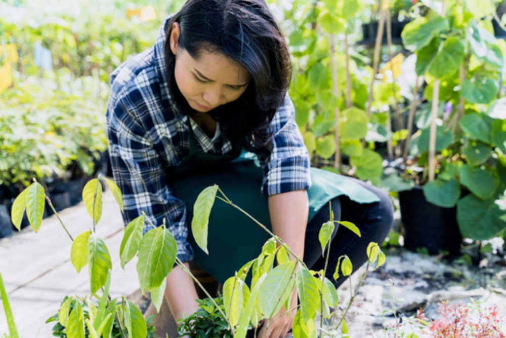 Student engaged in the horticulture industry