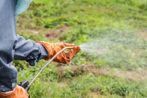 pesticide spraying training demonstration