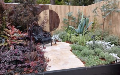 Landscape Design Courses: Small Space Gardening Solutions