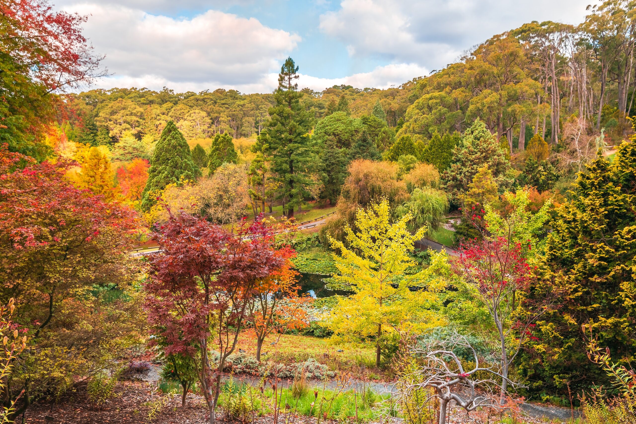 Horticulturalist View of Autumn Garden